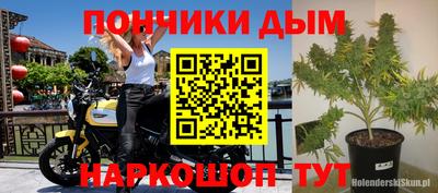 эйфоретик Вышний Волочёк