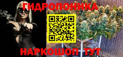 a pvp Вязники