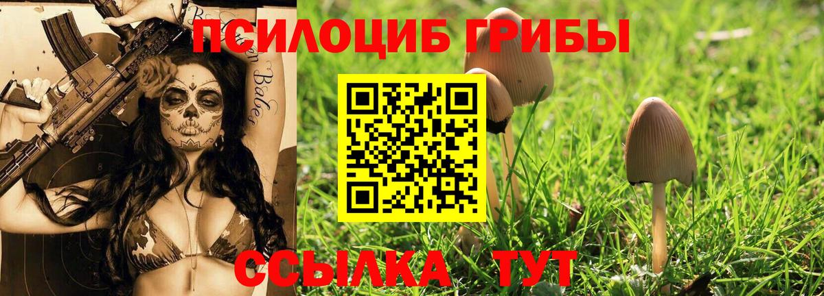 Галлюциногенные грибы прущие грибы  Псилоцибиновые грибы мицелий  Вход с VPN  Саки 