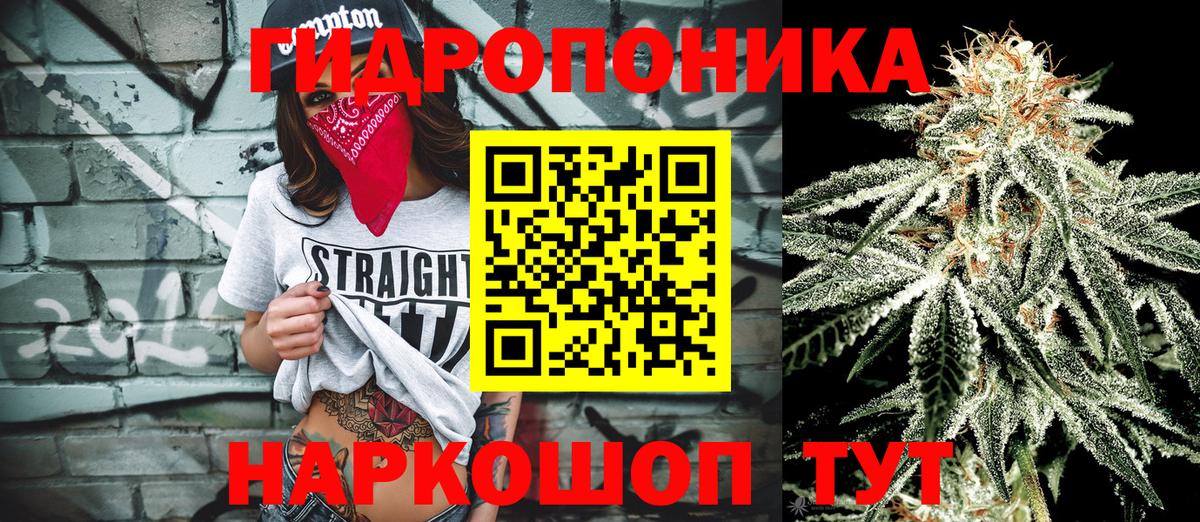 Бошки марихуана конопля  Каннабис Amnesia  Саки  Вход с VPN 