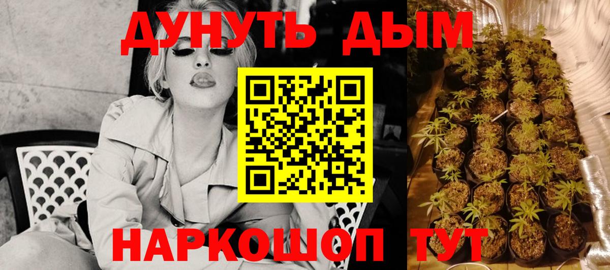 Каннабис план Саки